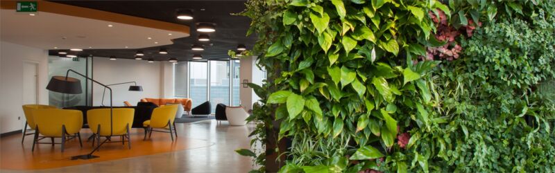 Improving the working environment with office plant displays