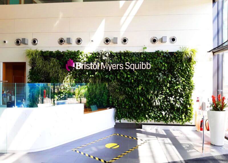 Bristol Myers Squibb - Living Wall.jpg