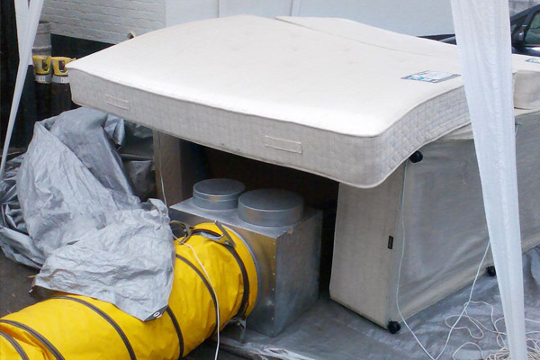 Bed bug treatment and control