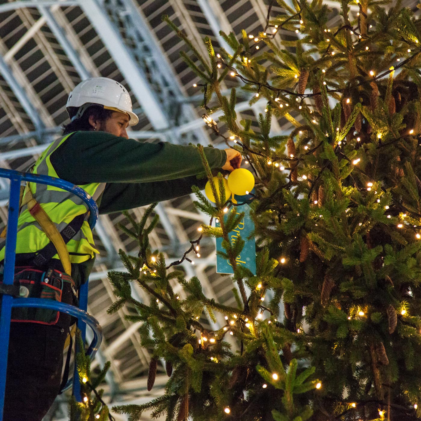 commercial christmas decorators