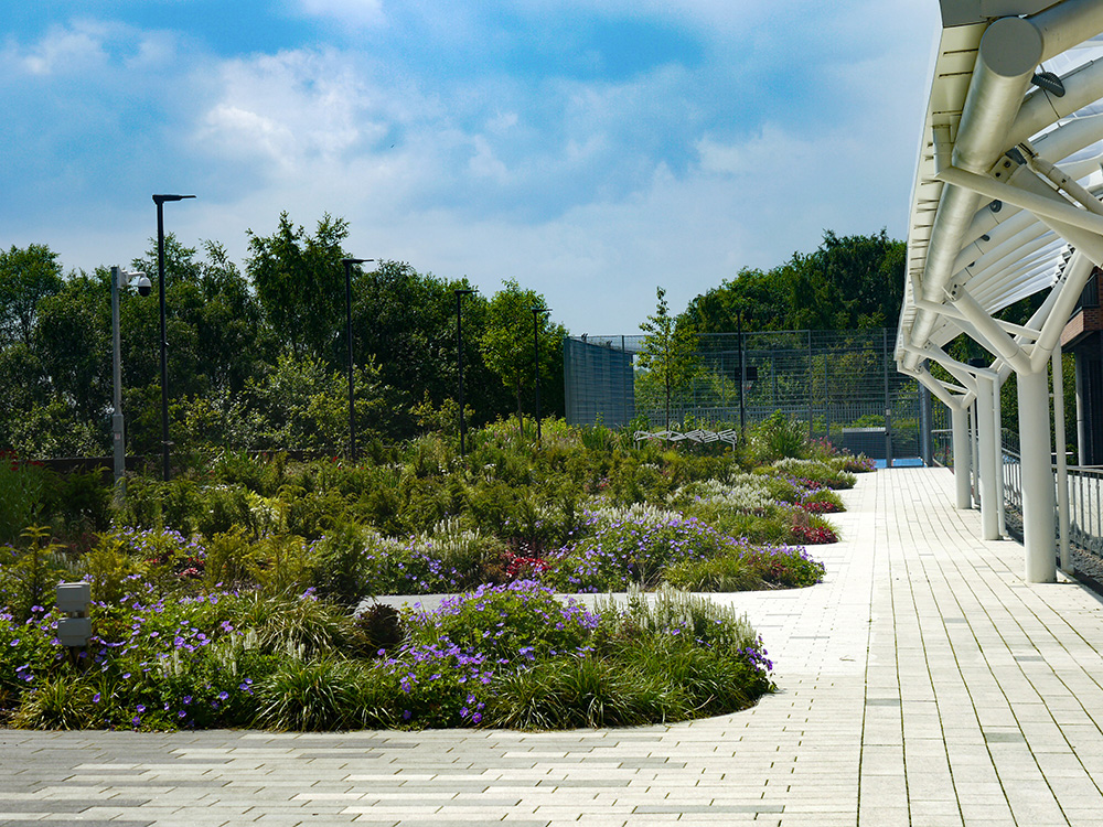 Open access residential garden spaces, separated by soft landscaping and florals