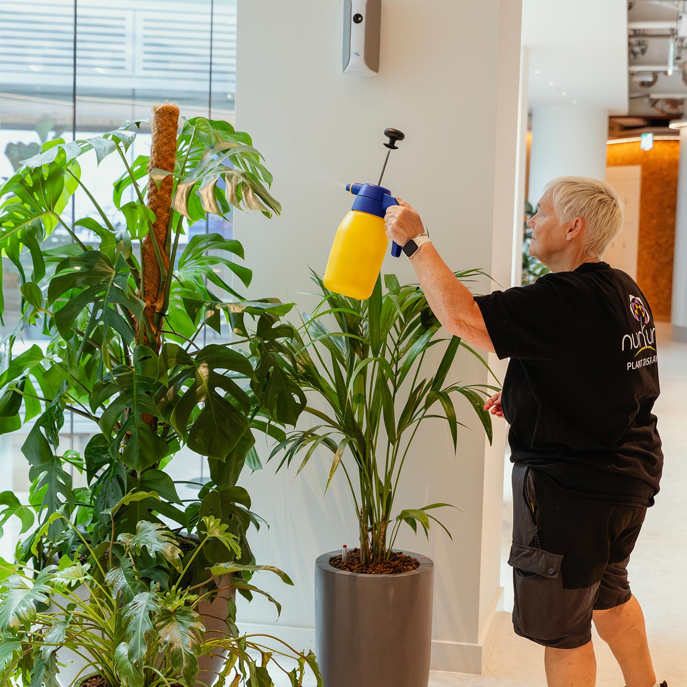 Nurture plant display team