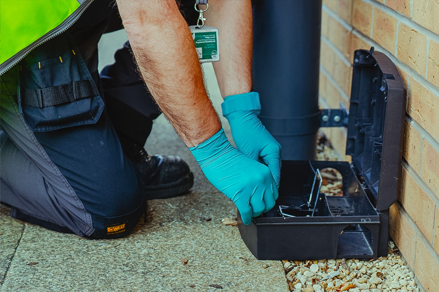 pest services integrated pest management