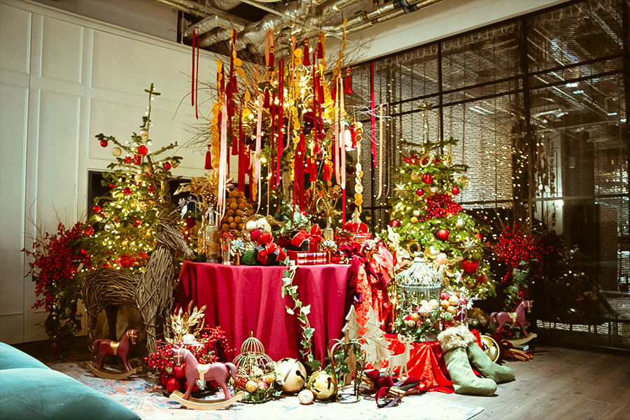 plant display christmas