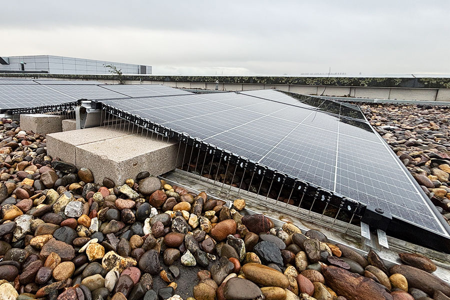 bird control commercial proofing