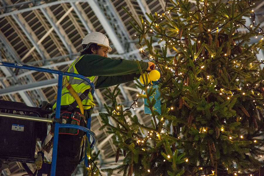 commercial Christmas tree installation displays