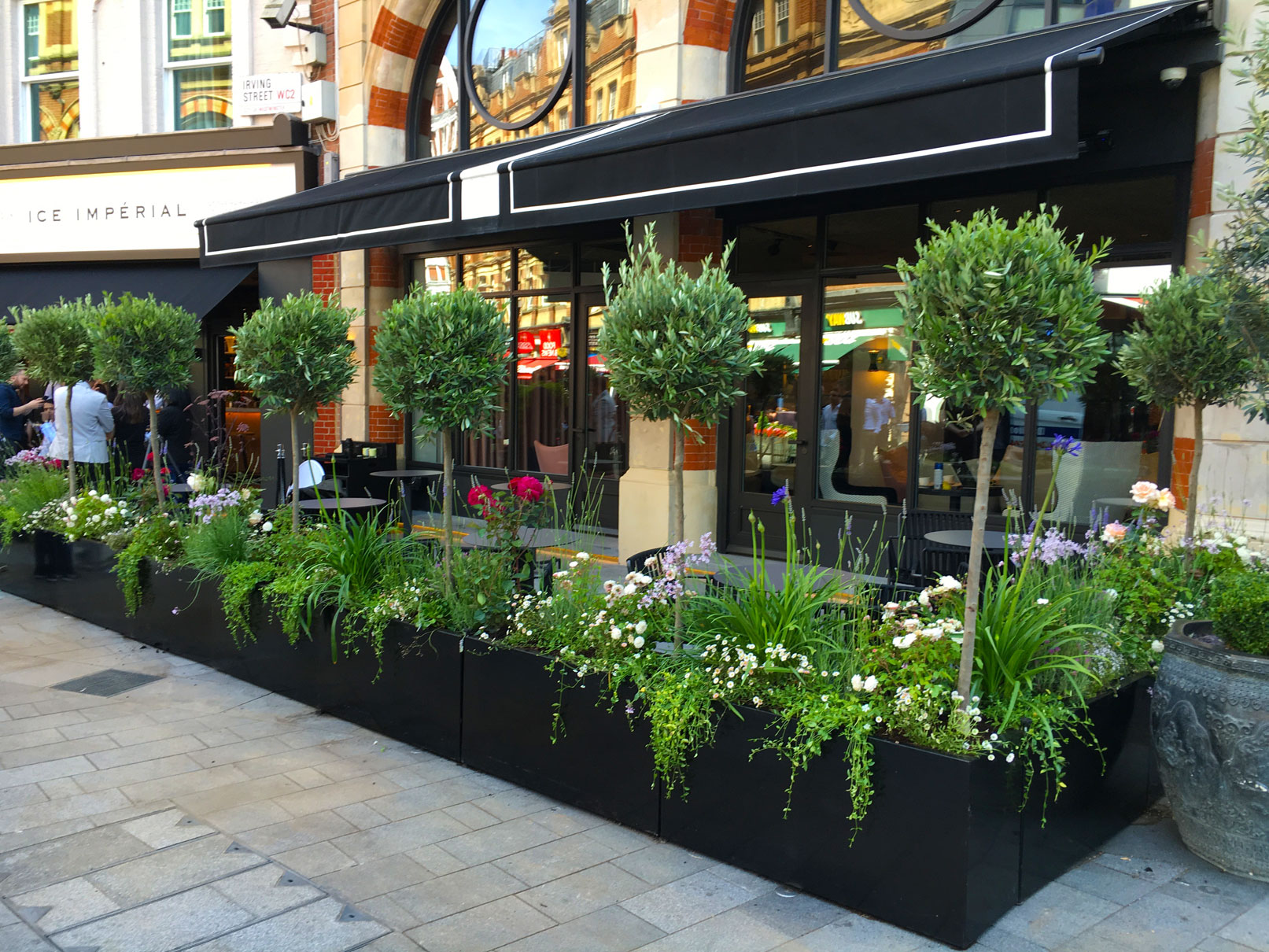 commercial external entrance plant displays