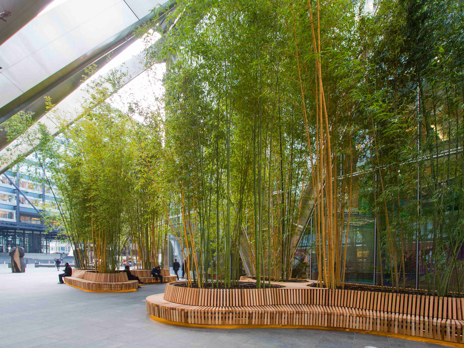 commercial external-large plant displays for business spaces