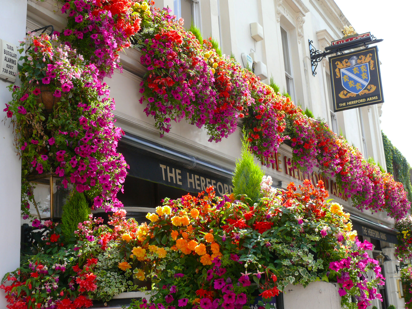 commercial external plant displays for pubs