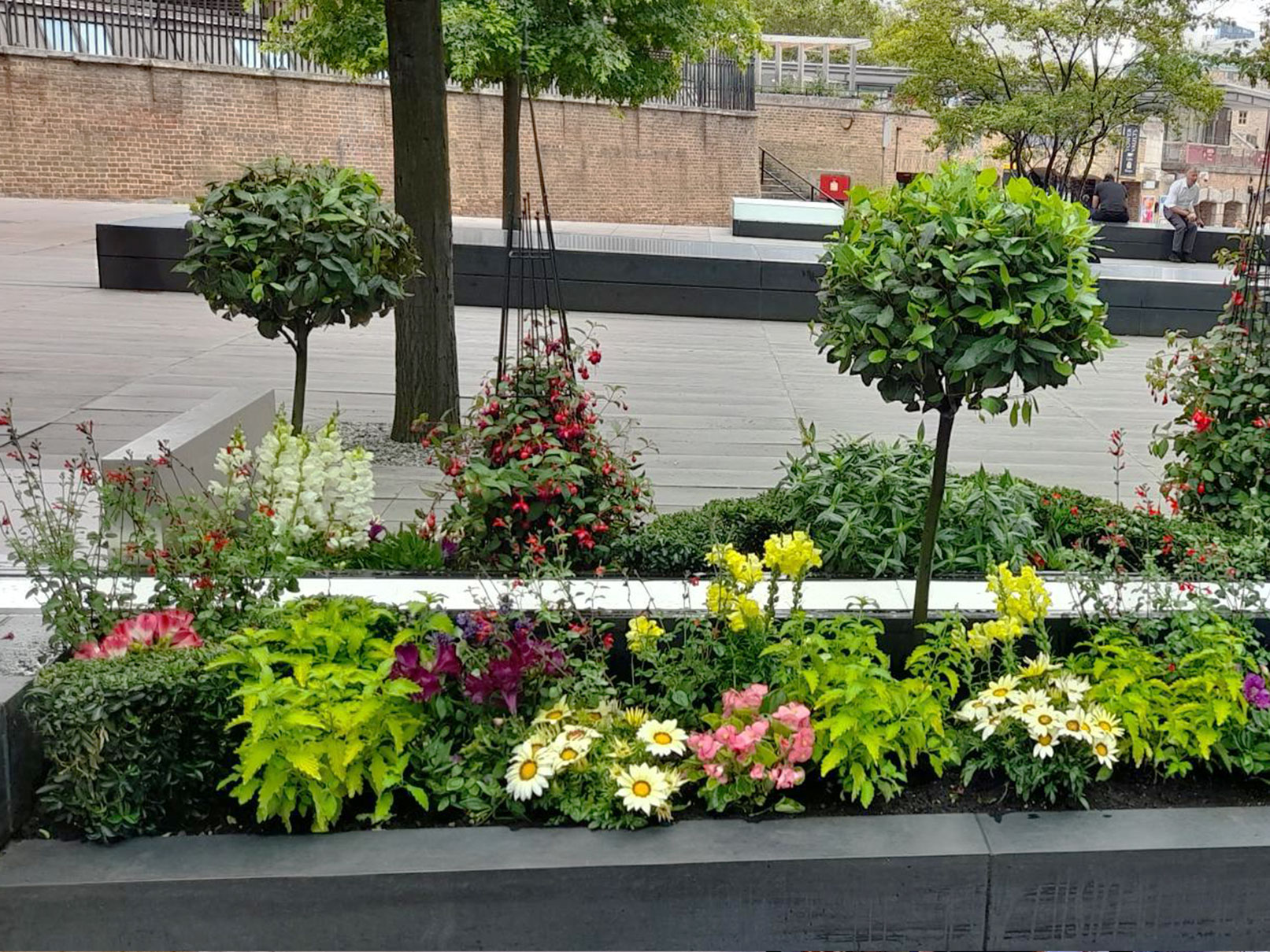 commercial external plant displays for retail spaces