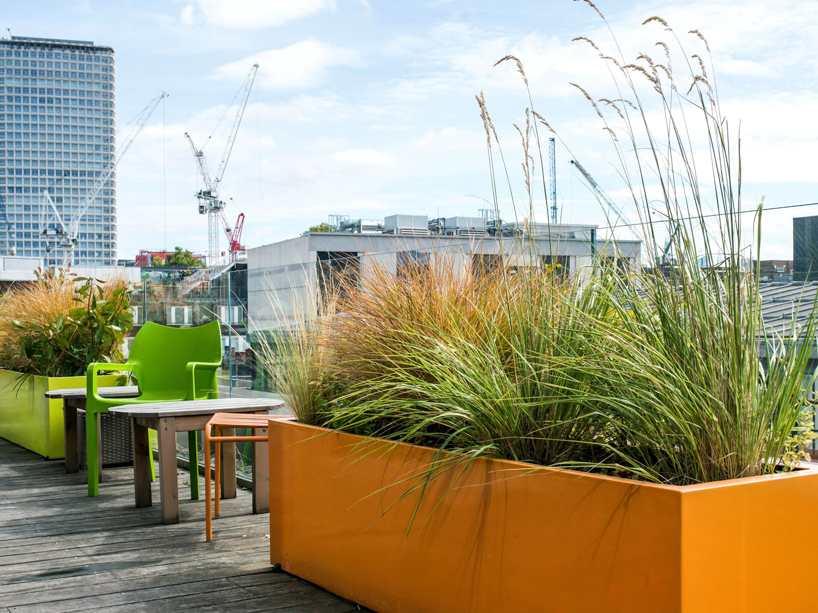 commercial external plant displays for terrace