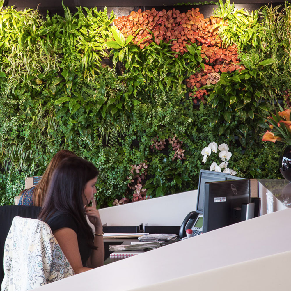 commercial green wall installations