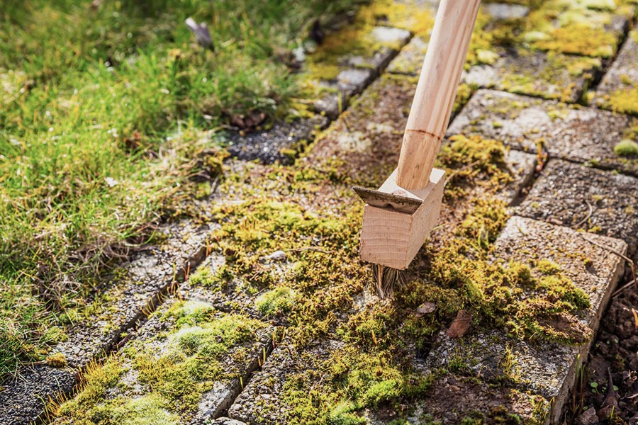 commercial grounds maintenance hard surface path clearance services