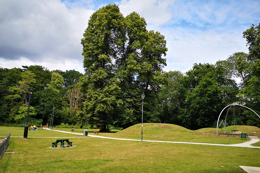 commercial grounds maintenance parks and playgrounds