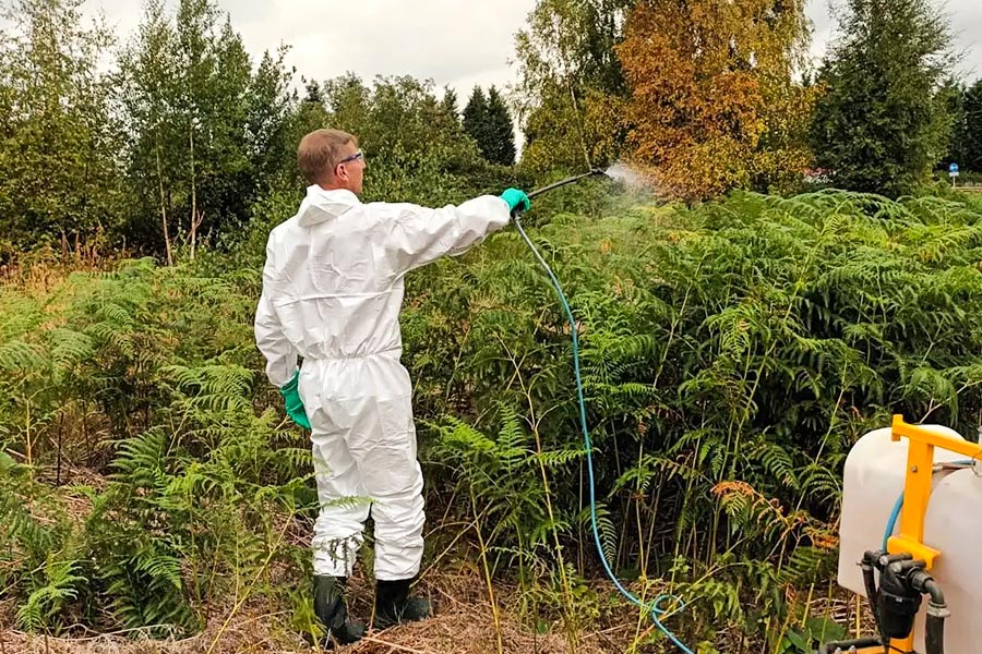 commercial grounds maintenance vegetation management services