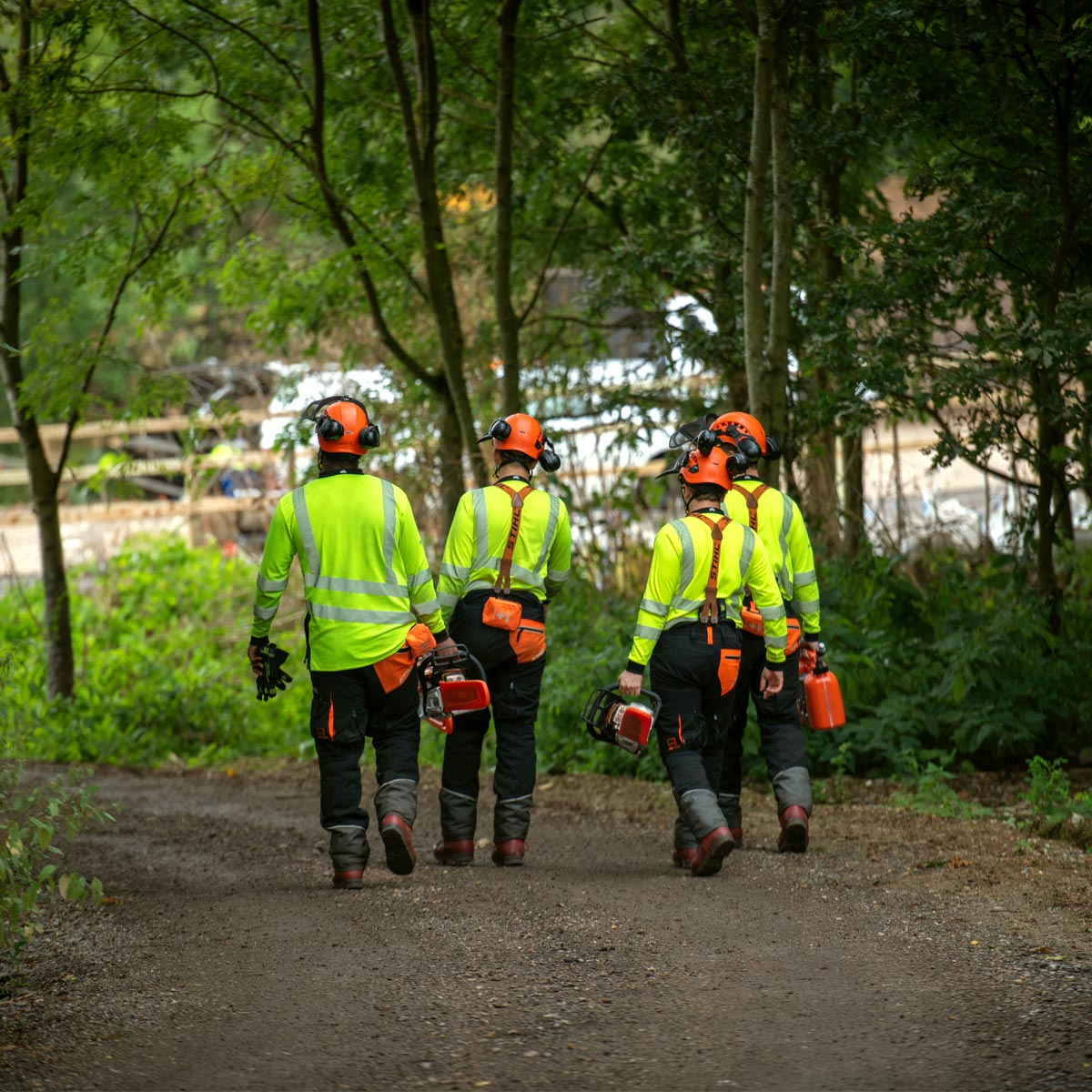 commercial tree removal surgeons
