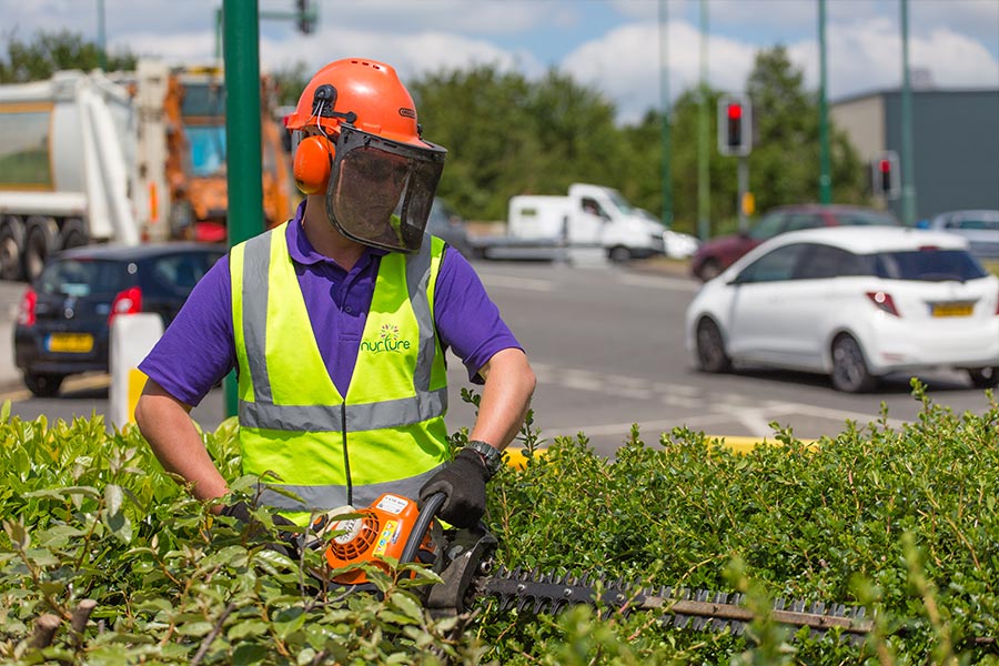 councils grounds maintenance and landscaping services