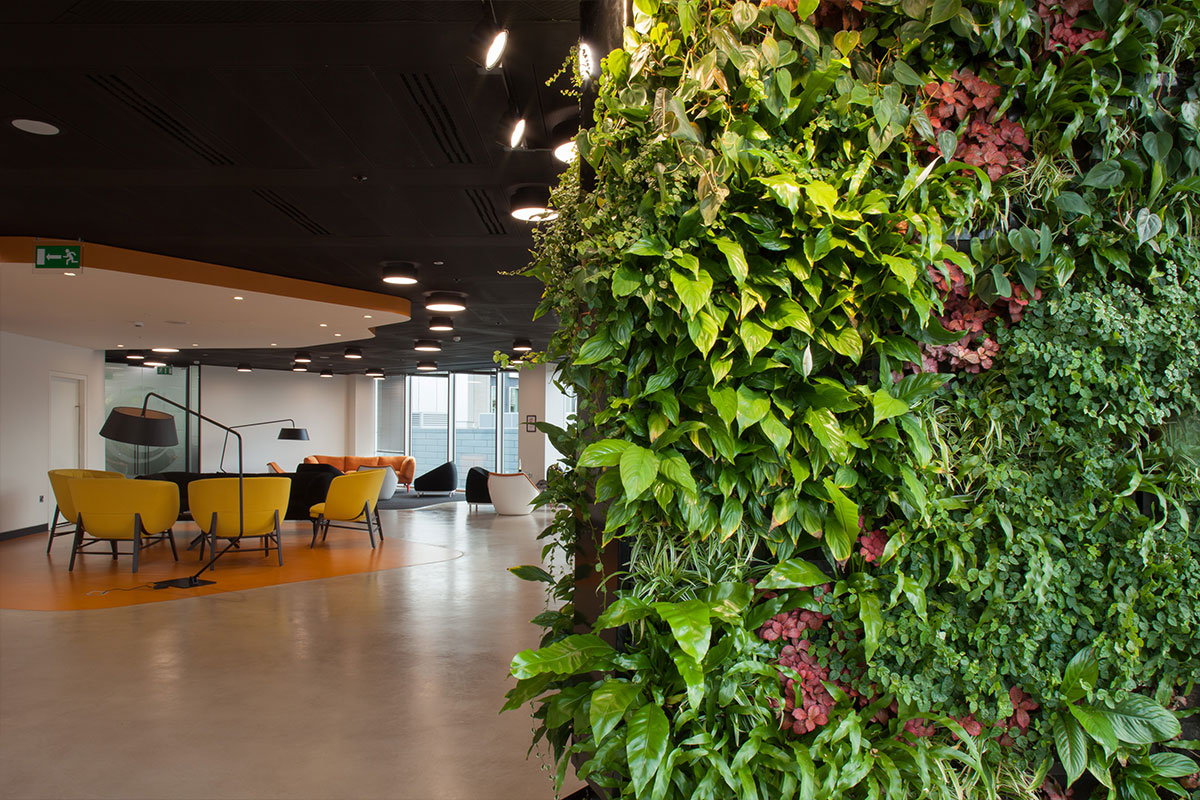 exterior green wall installations