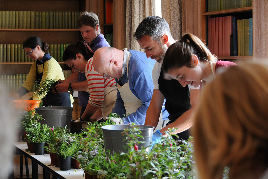 green solutions green events and workshops for businesses