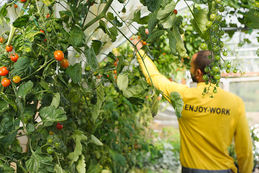 green solutions sustainability solutions for businesses