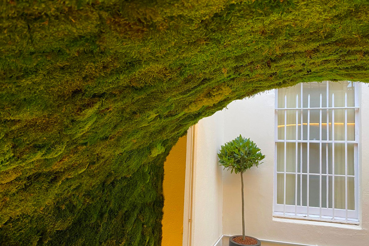 green wall moss arch installation