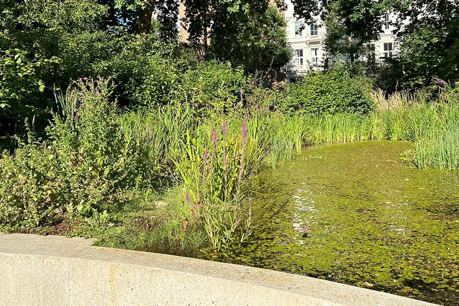 ground maintenance pond maintenance services