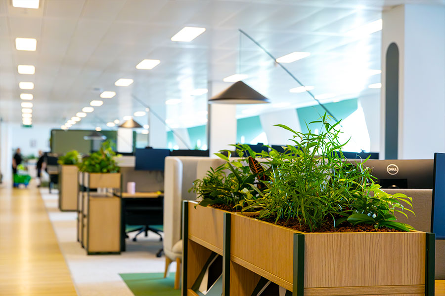 indoor plant displays for offices