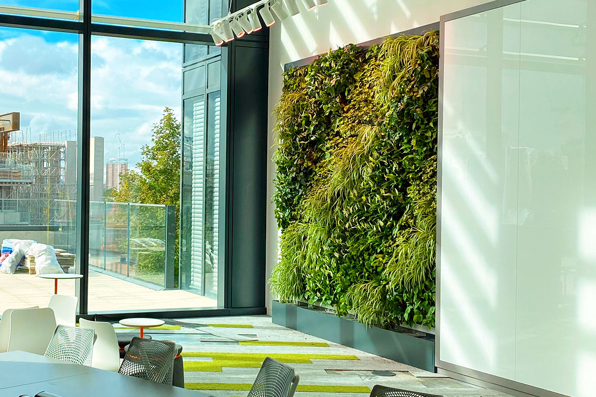 interior green wall plant installation