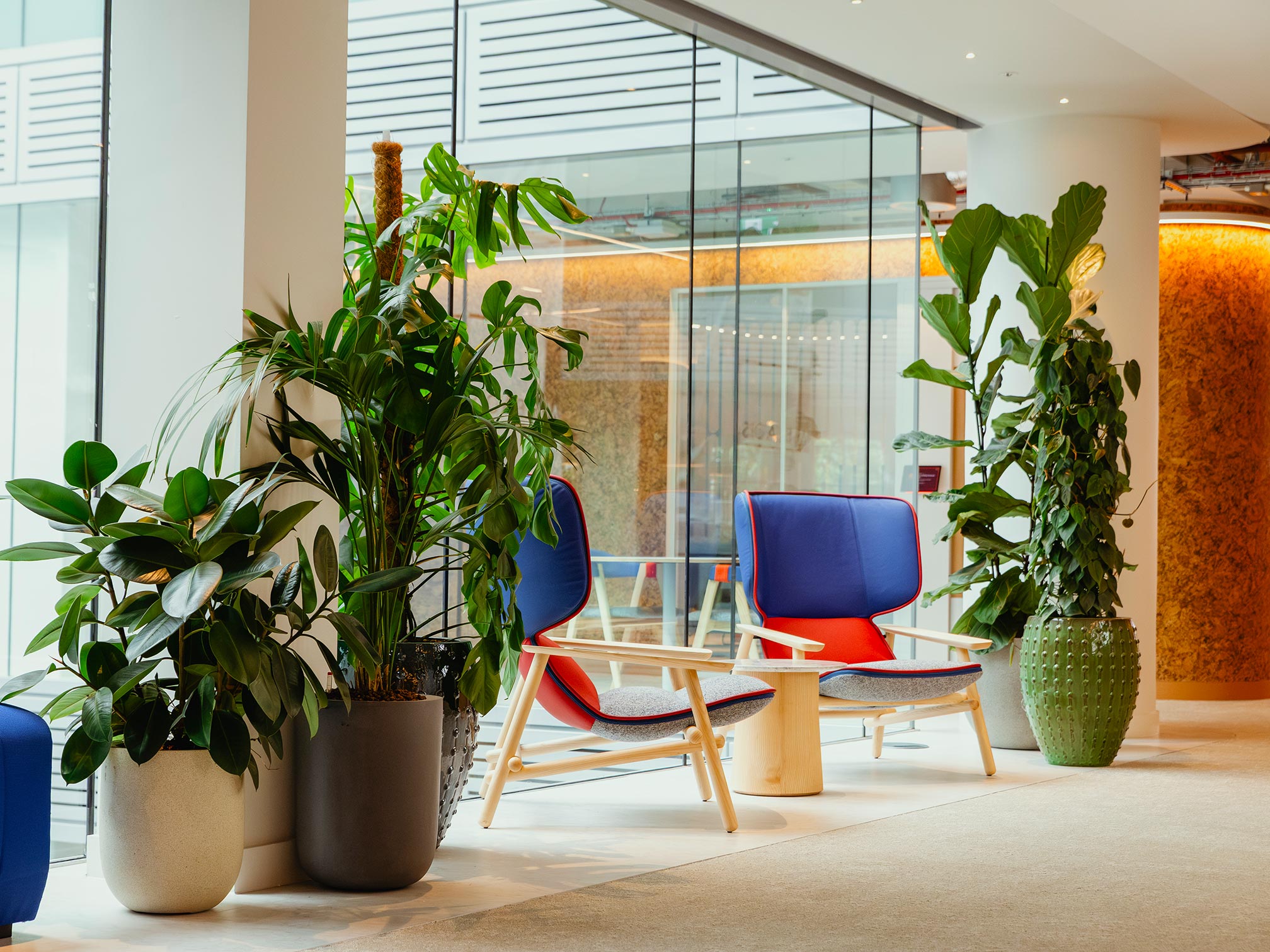 interior large plant displays