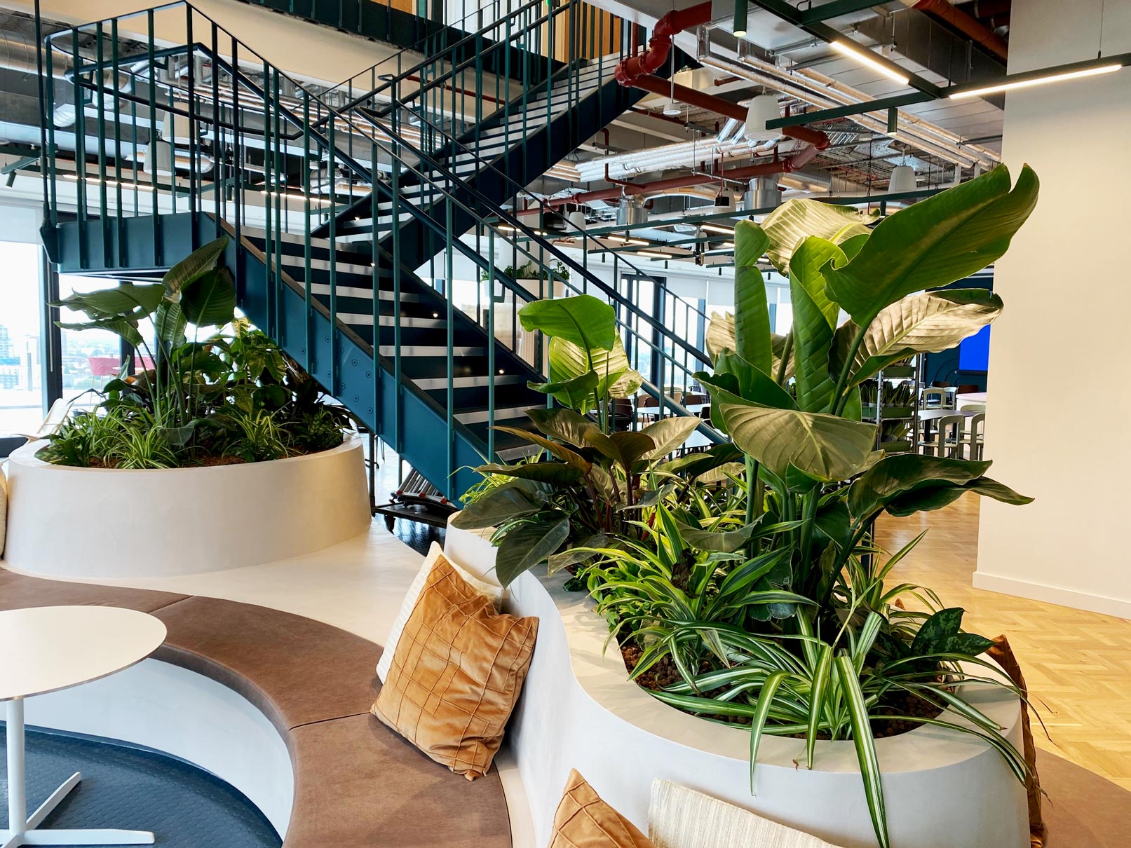interior plant display understairs planted
