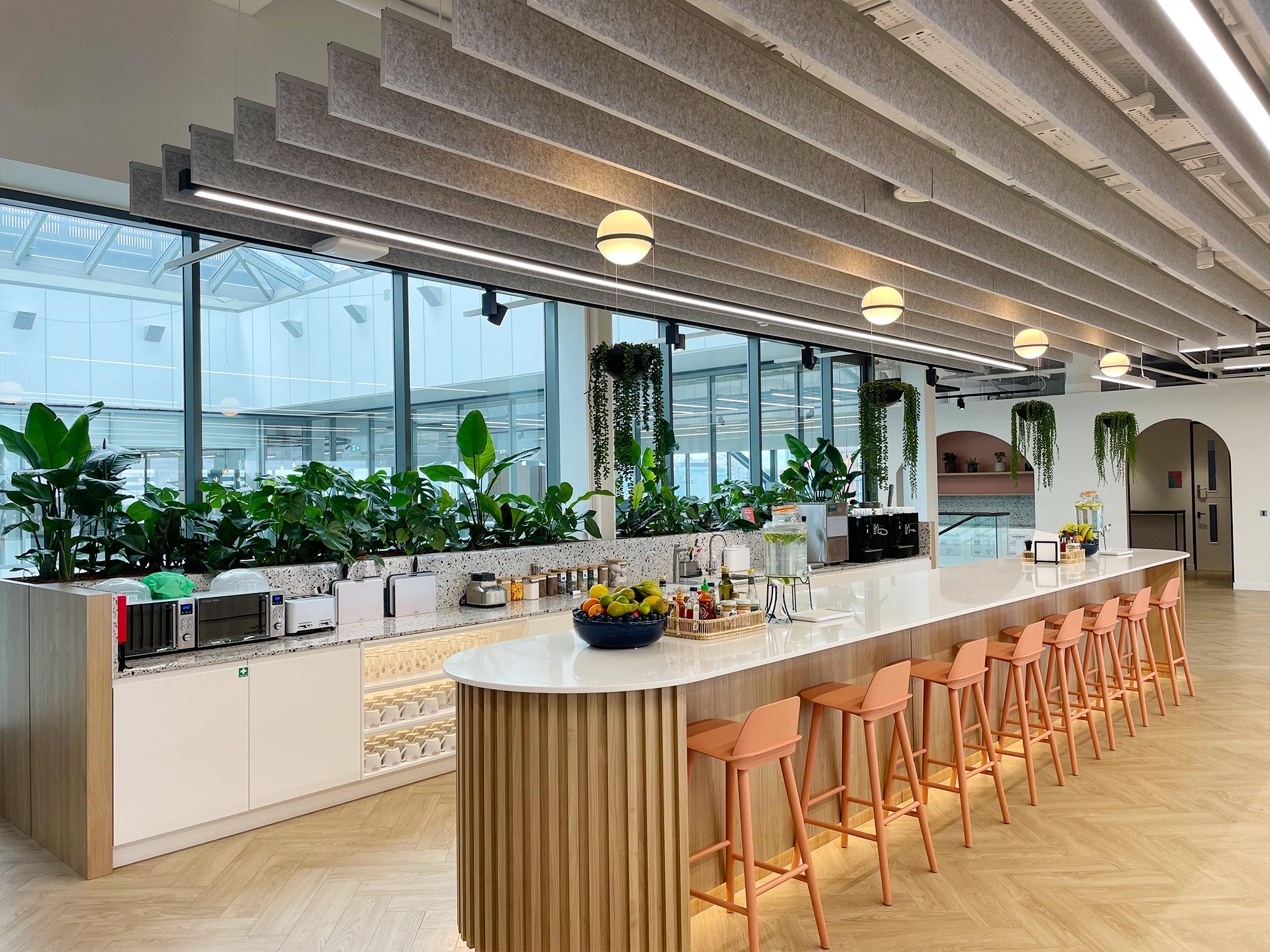 interior plant display hanging plants