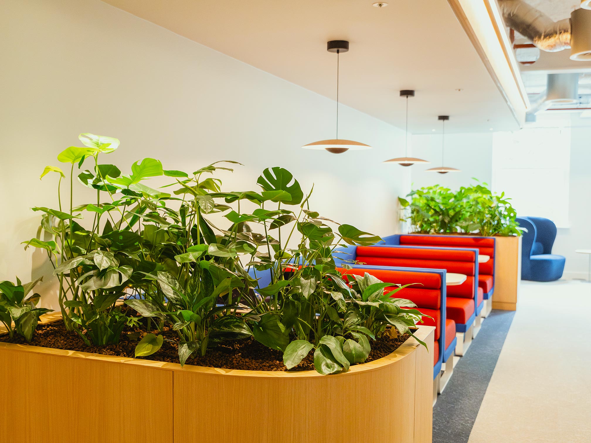 interior plant display rest area