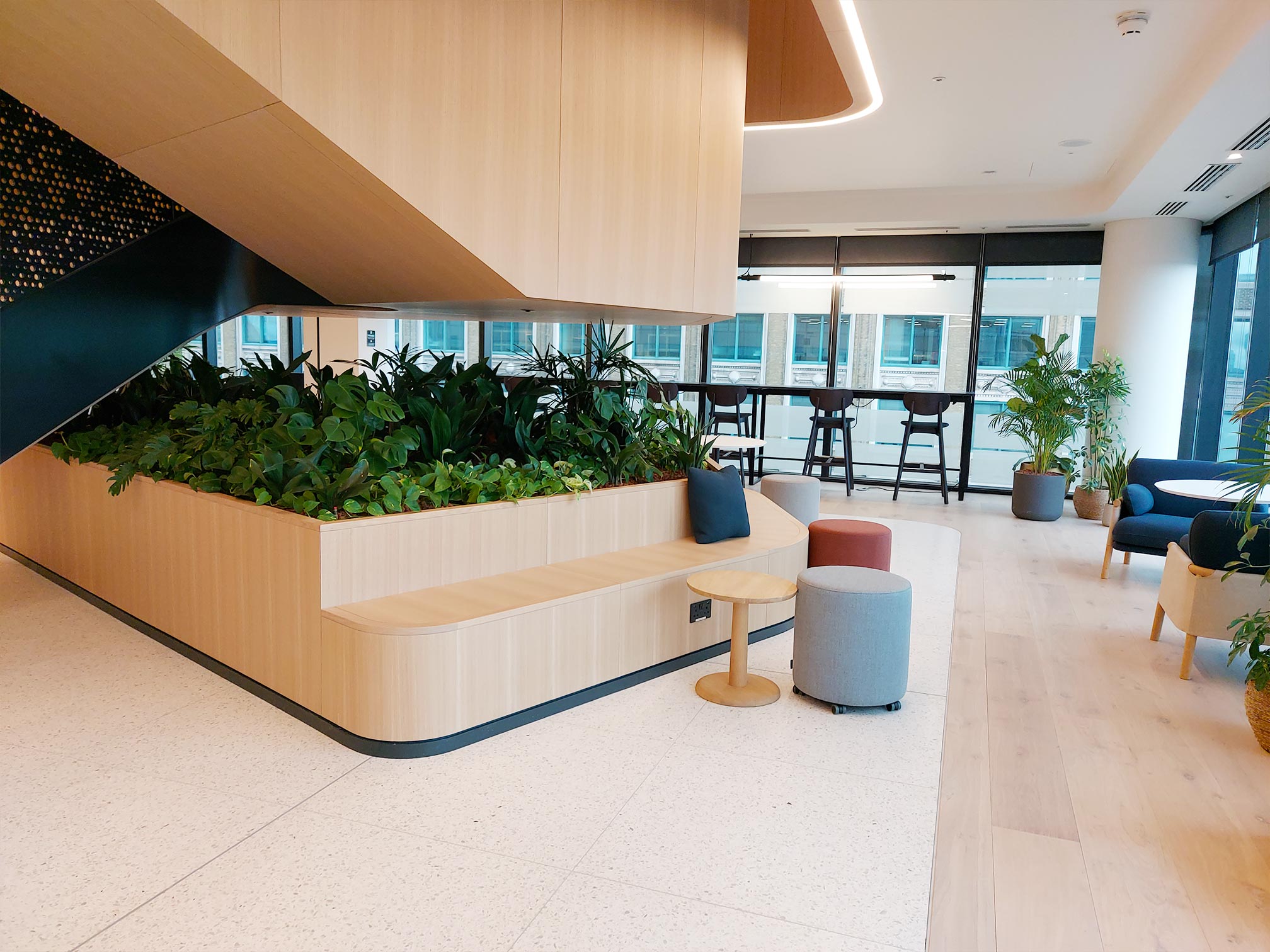 interior plant displays seating area