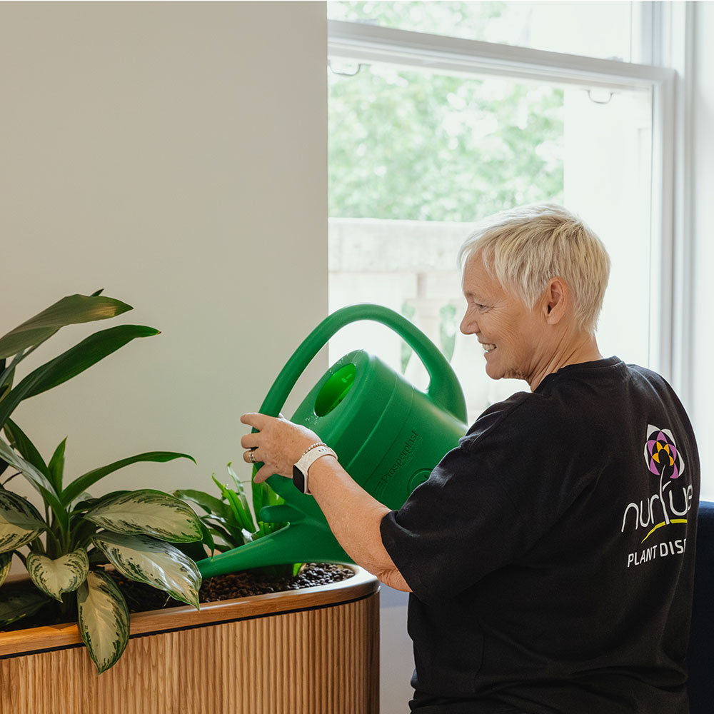 interior plant services