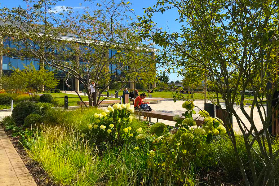 landscape construction soft landscaping