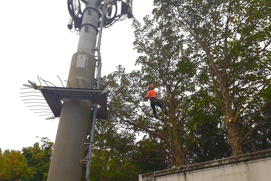 line of sight services for utilities