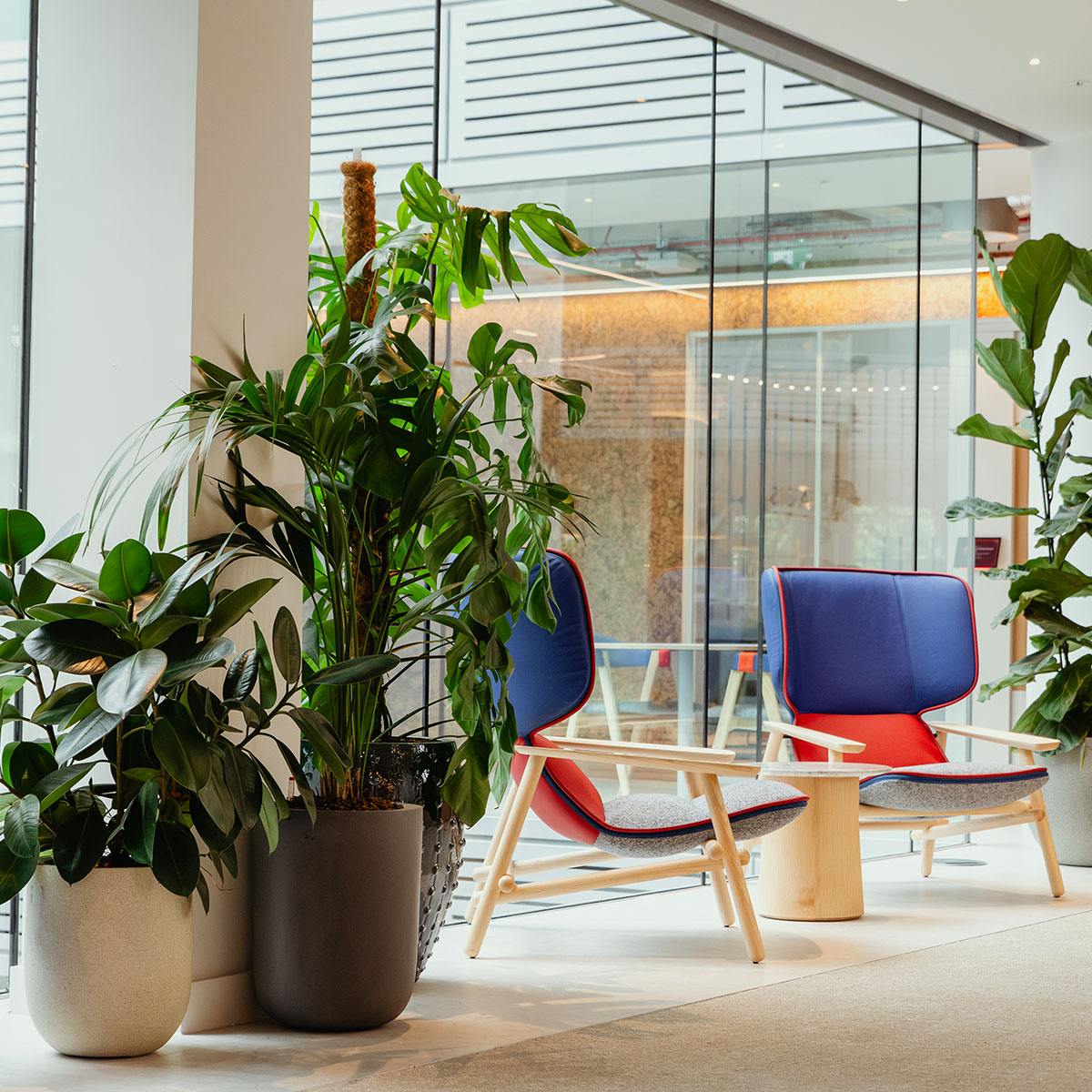 corporate and office plant hire services