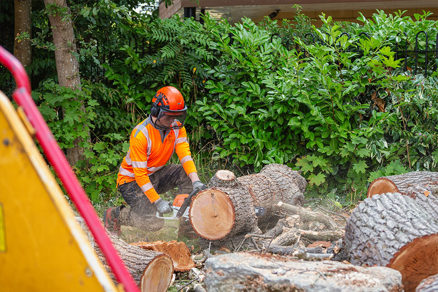 nurture group arboriculture