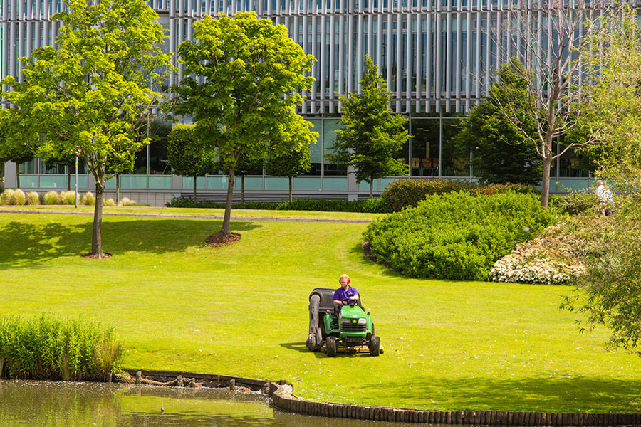 nurture group grounds maintenance
