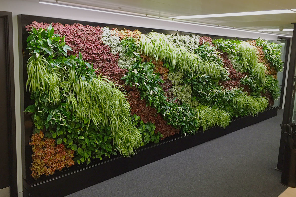 office green wall installation