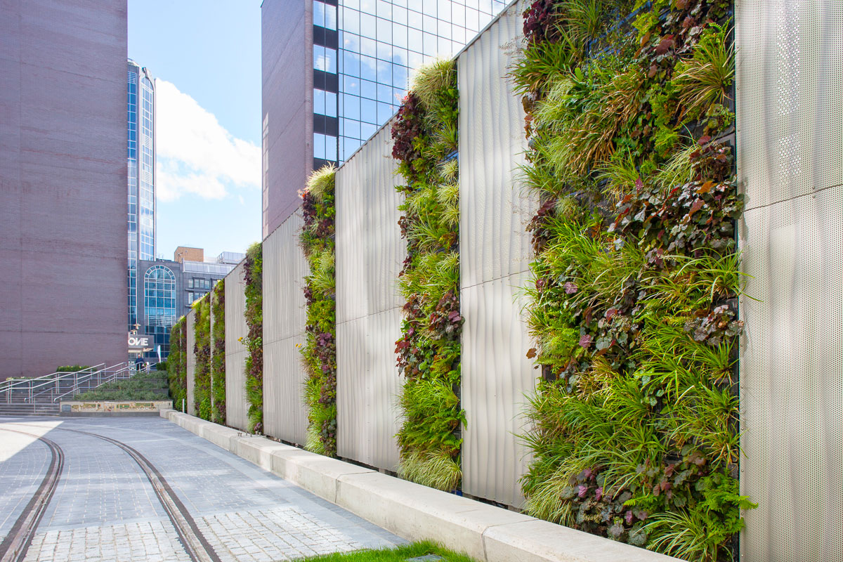 outdoor green wall plant installation