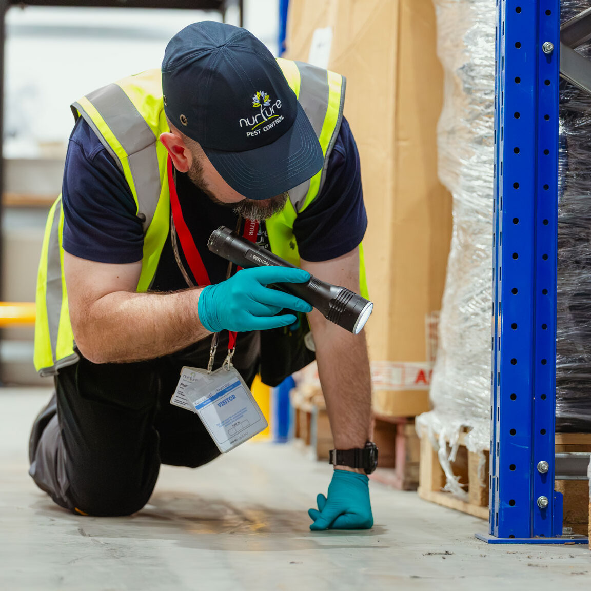 pest controller searching for signs of mice infestation
