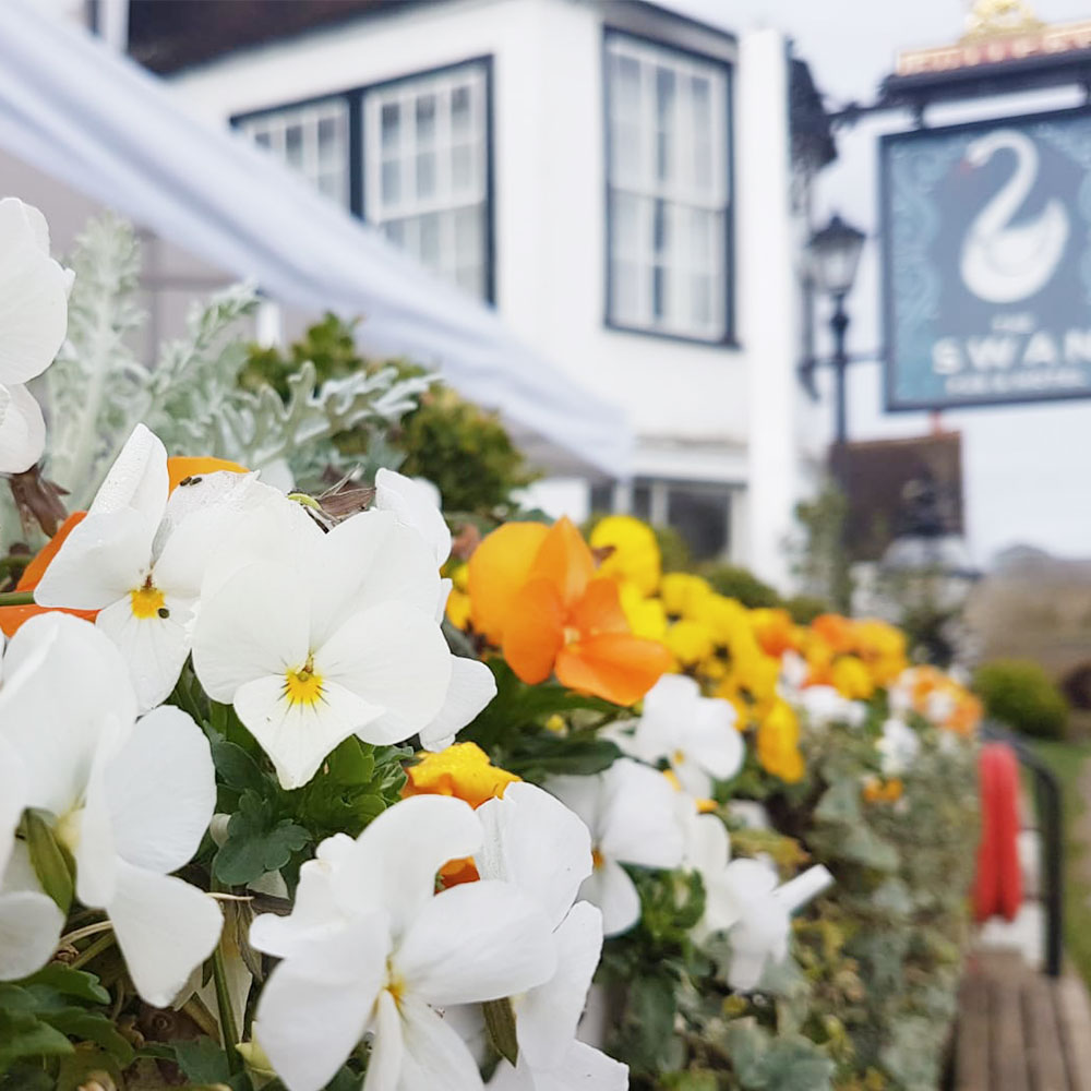 restaurant plant displays and flowers