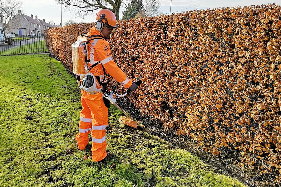 tivoli grass cutting lawn moving services