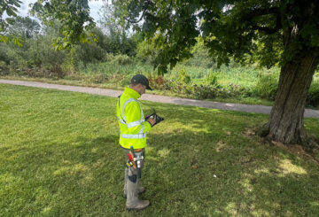 tree condition surveyor
