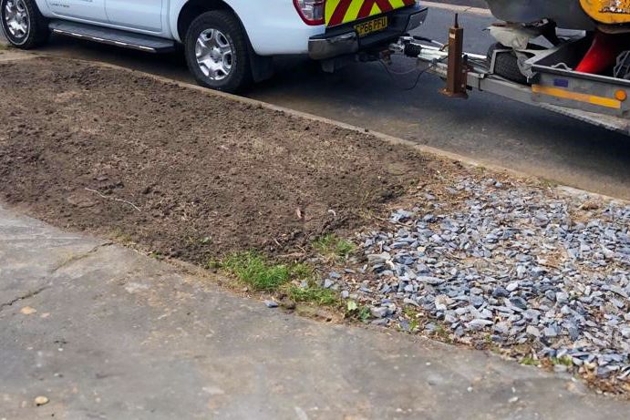 tree stump after removal