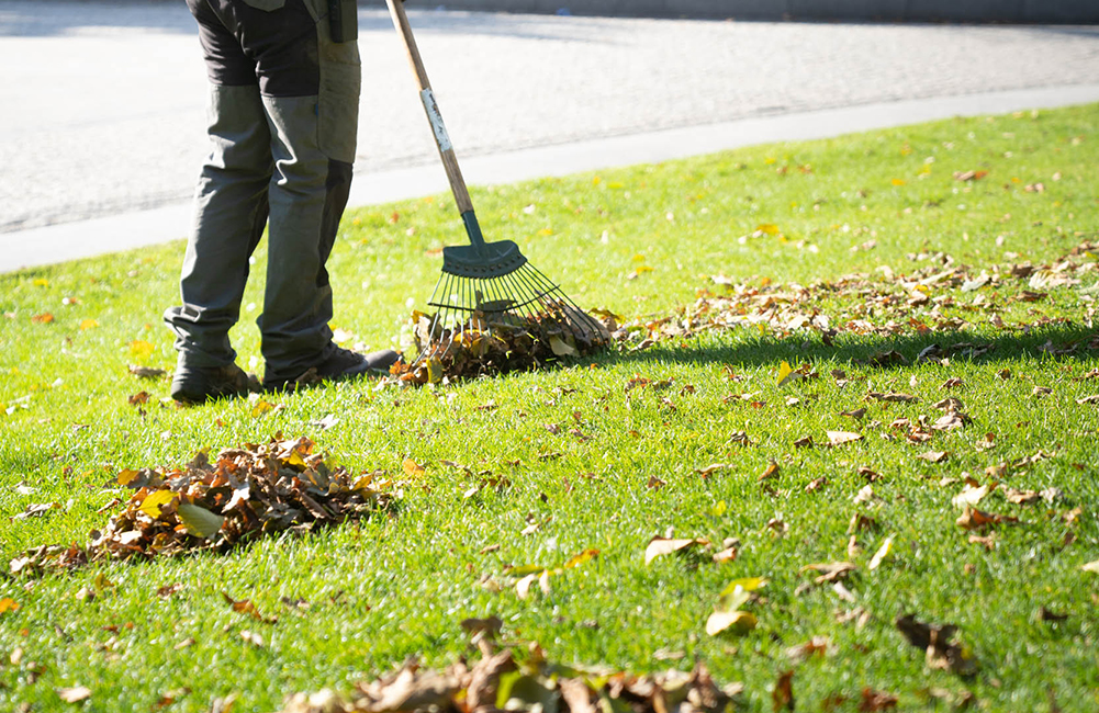 Litter, bin & leaf clearance services