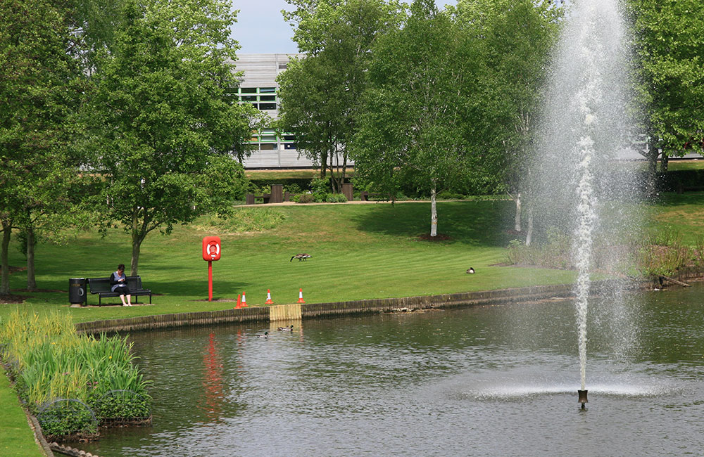 pond management & water quality management services
