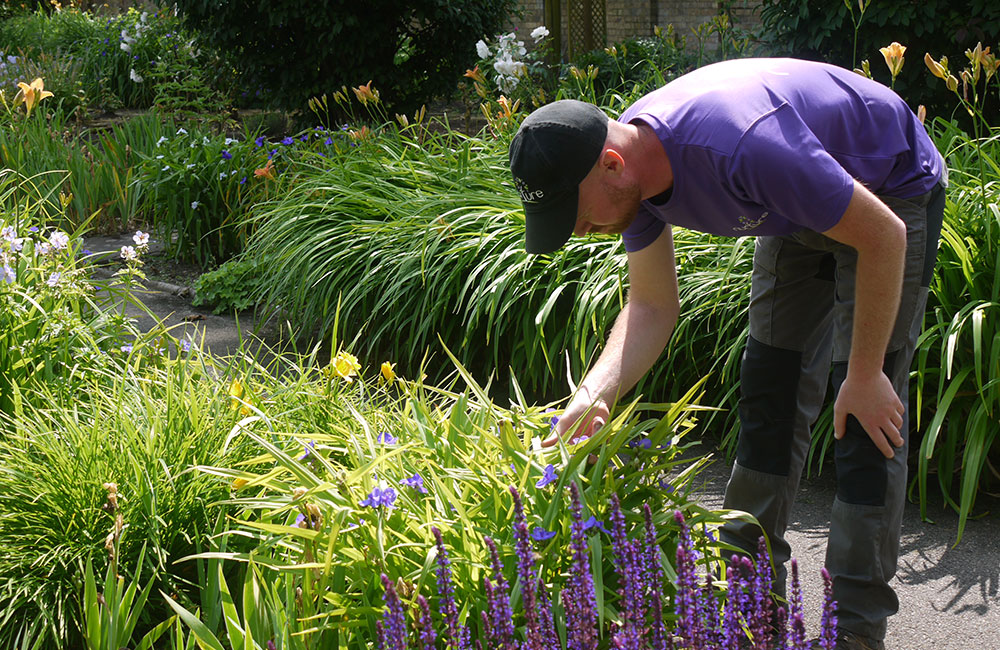 Seasonal and ecological care services