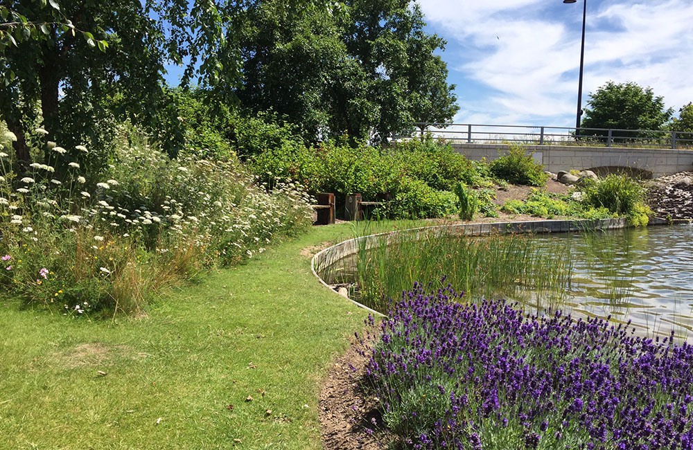 bank protection & erosion control service